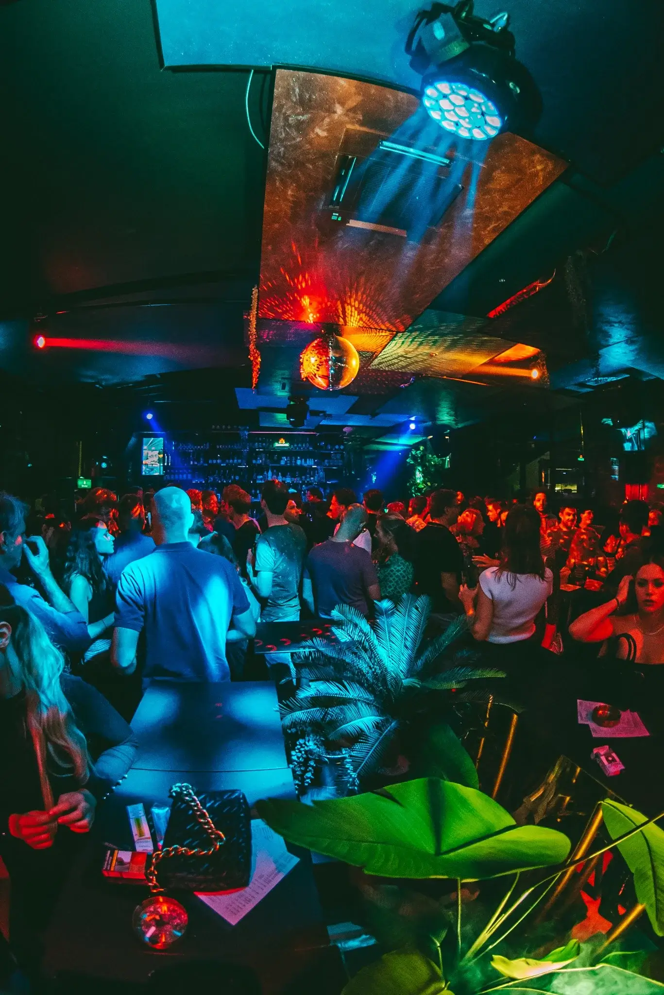 Rooftop gallery image 3